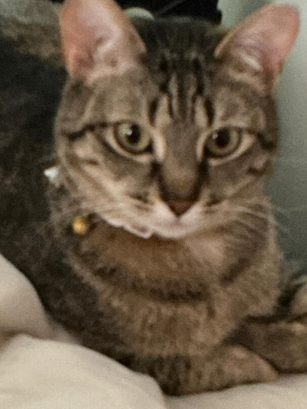 Omg she looks so polite…